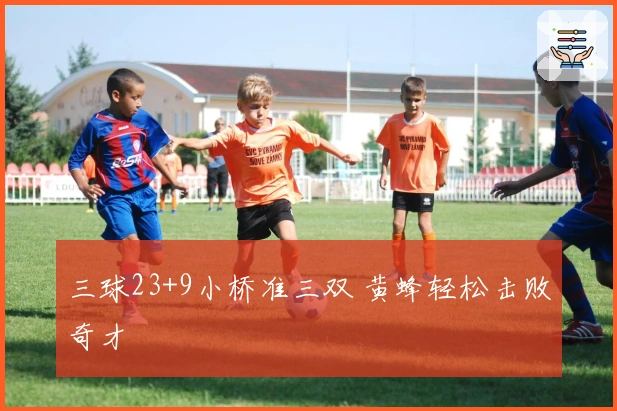 三球23+9小桥准三双 黄蜂轻松击败奇才