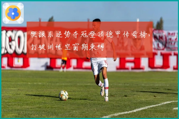 樊振东逆势夺冠登顶德甲传奇榜，打破训练空窗期束缚